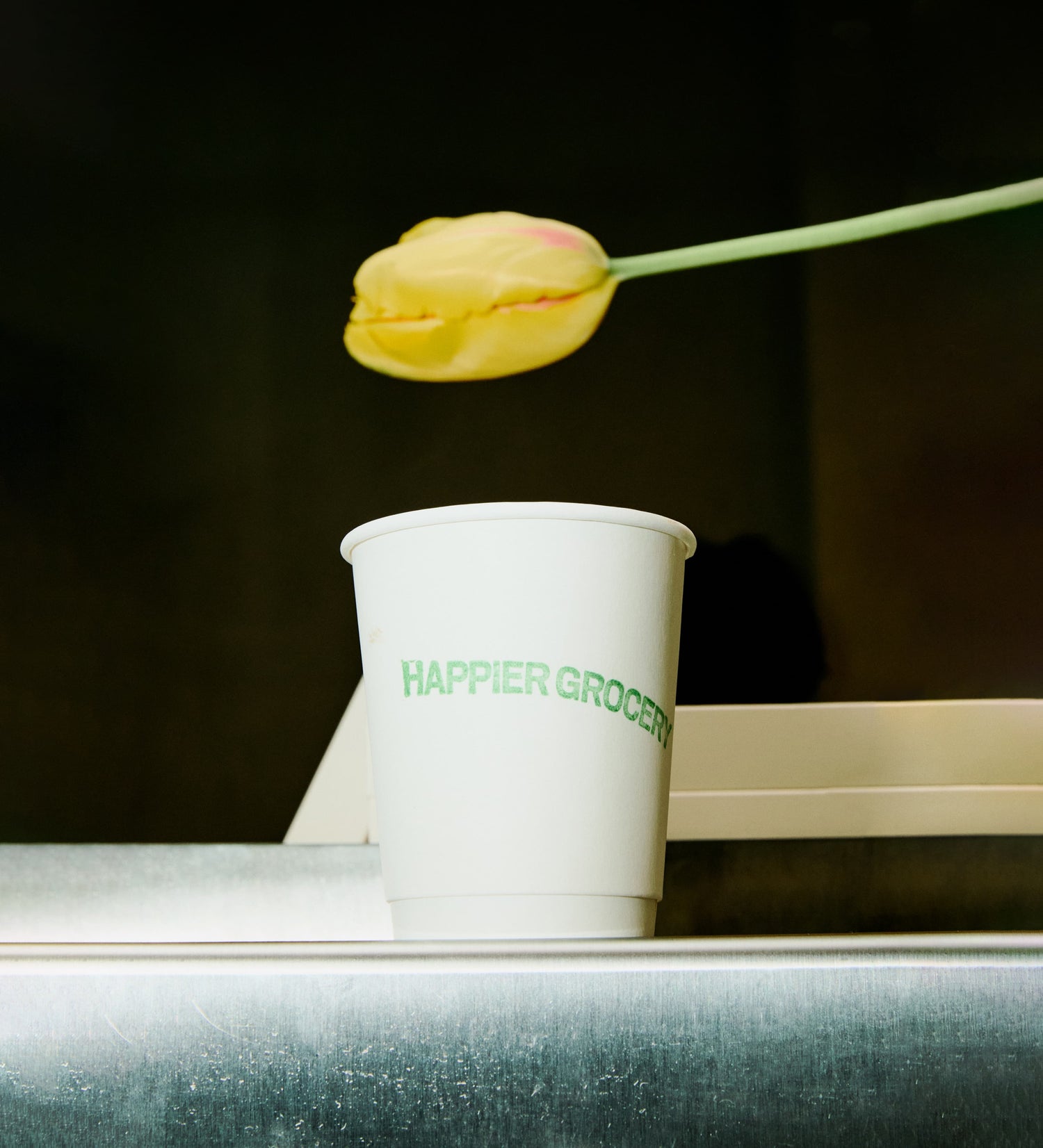 Superfood & Longevity